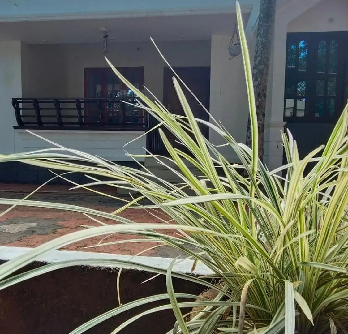 Vintage Villa Varkala 0*,  India